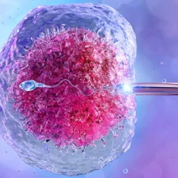 Cyprus IVF Treatment