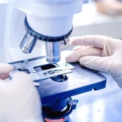 Infertility Treatment in Cyprus