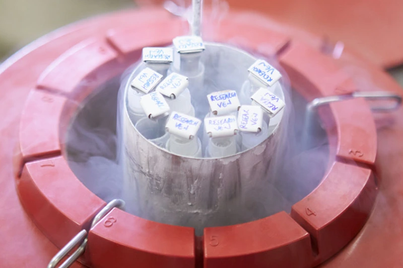 egg freezing in Cyprus