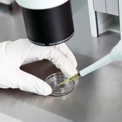 ivf insemination treatment cyprus